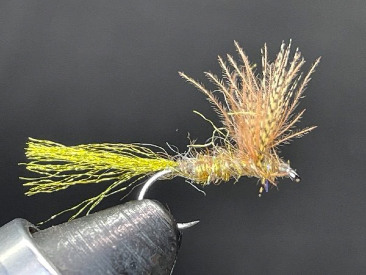 CDC Sparkle Dun fly pattern tied by Brent Jones