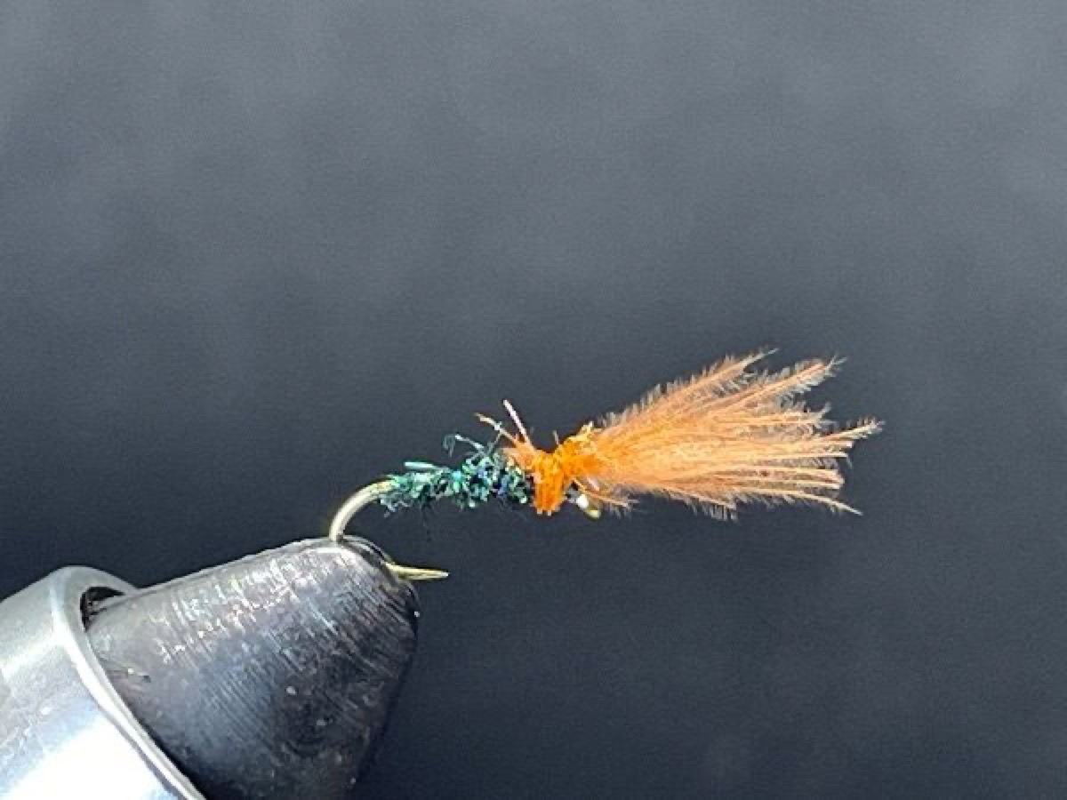 Shuttlecock fly pattern tied by Brent Jones