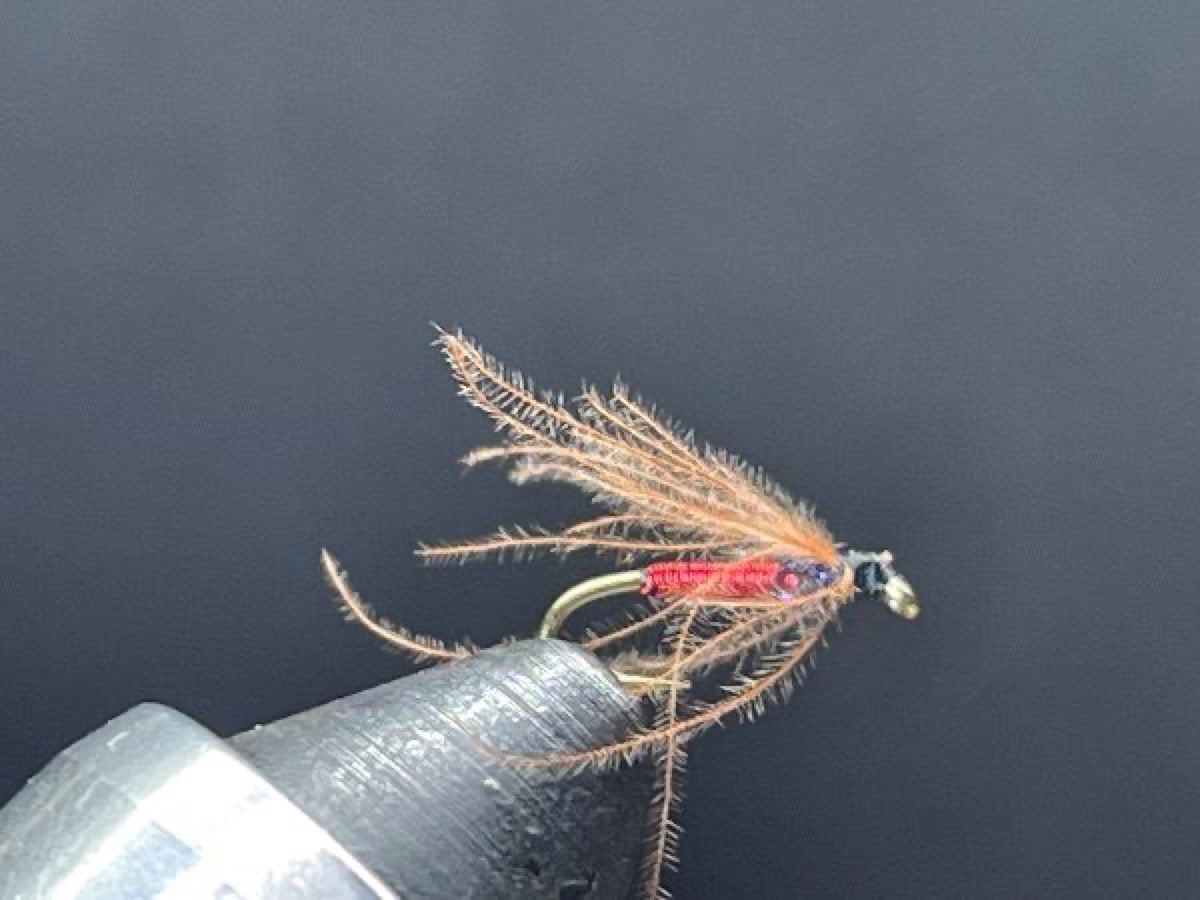 Red Wire Nymph fly pattern tied by Brent Jones