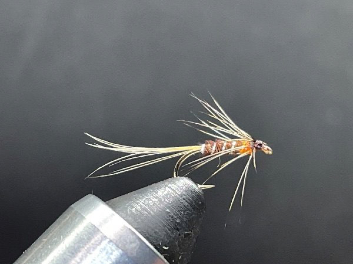 Cruncher fly pattern tied by Brent Jones