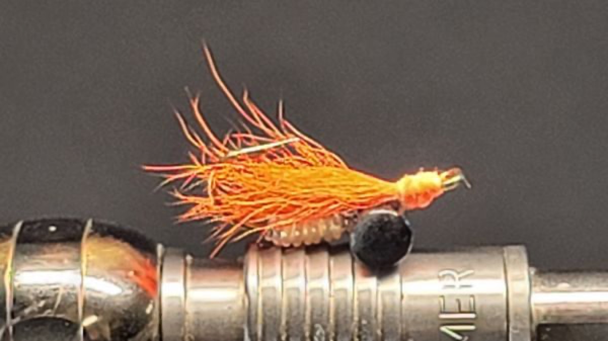 Shad Crazy Charlie fly pattern tied by Darrell Olson