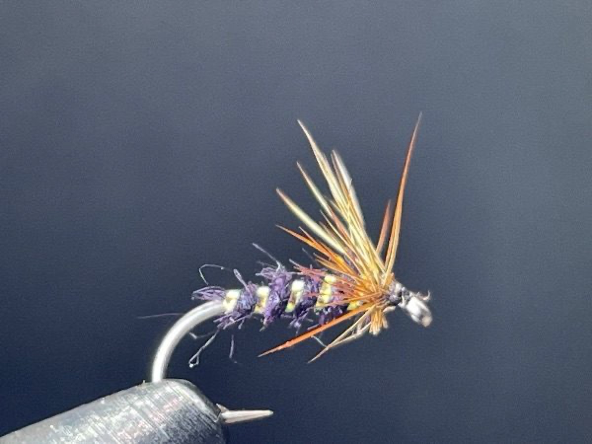 Claret Emerger fly pattern tied by Brent Jones