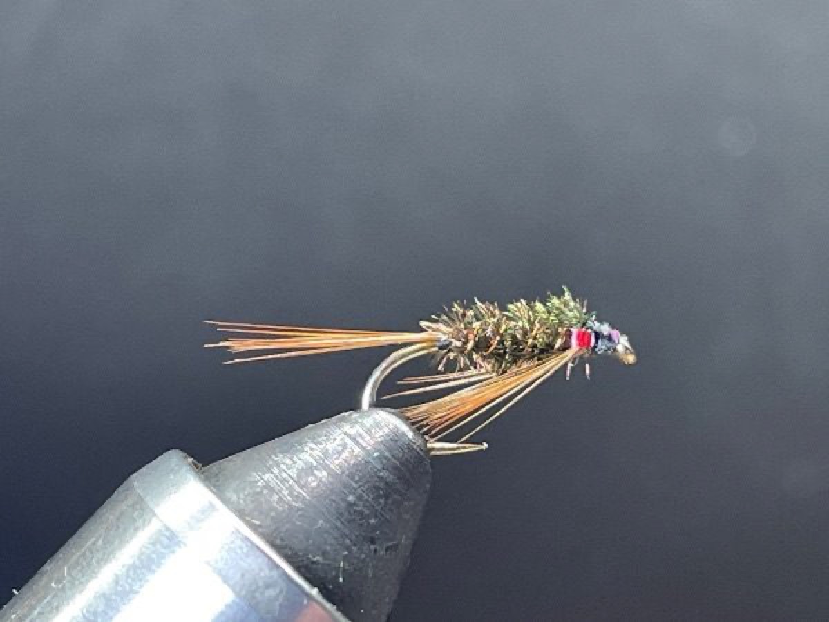 Diawl Bach fly pattern tied by Brent Jones