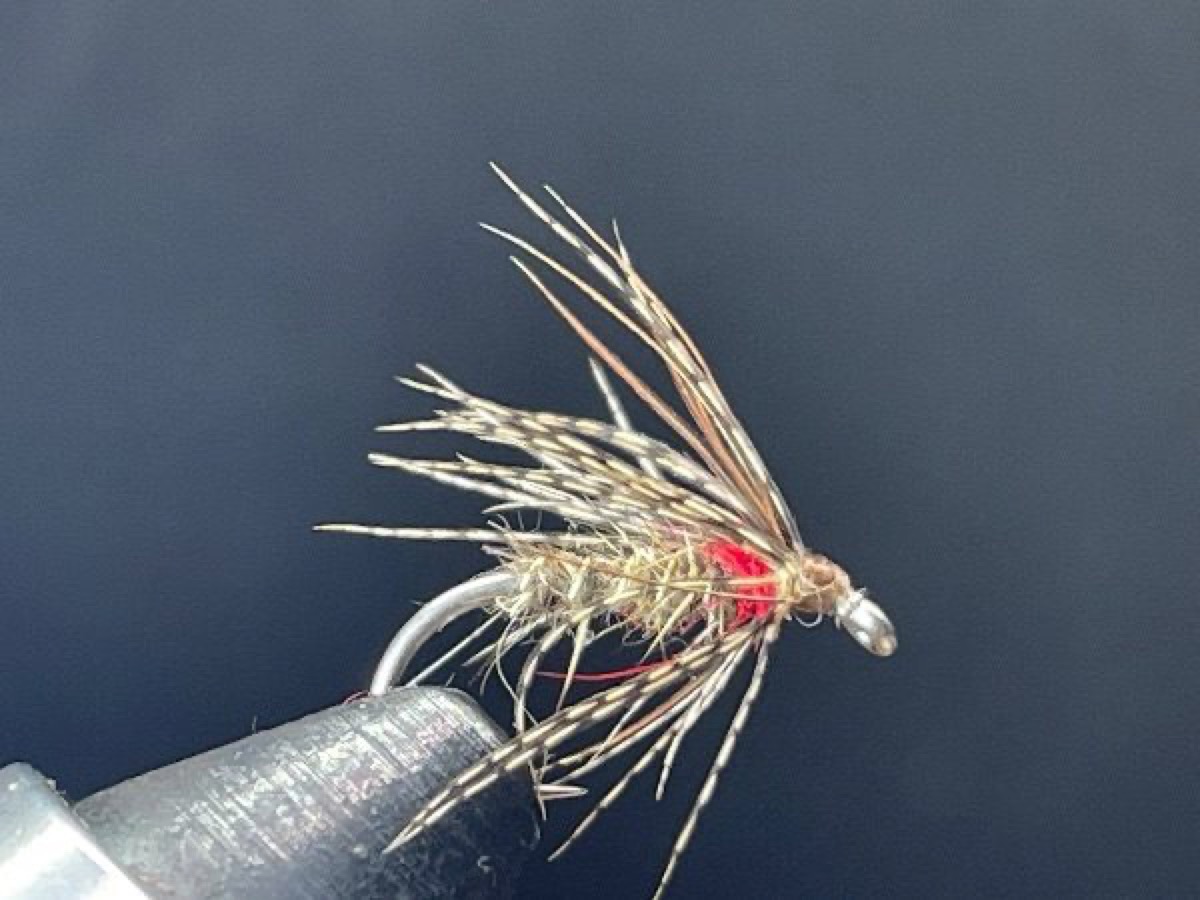 Hares Ear Spider fly pattern tied by Brent Jones