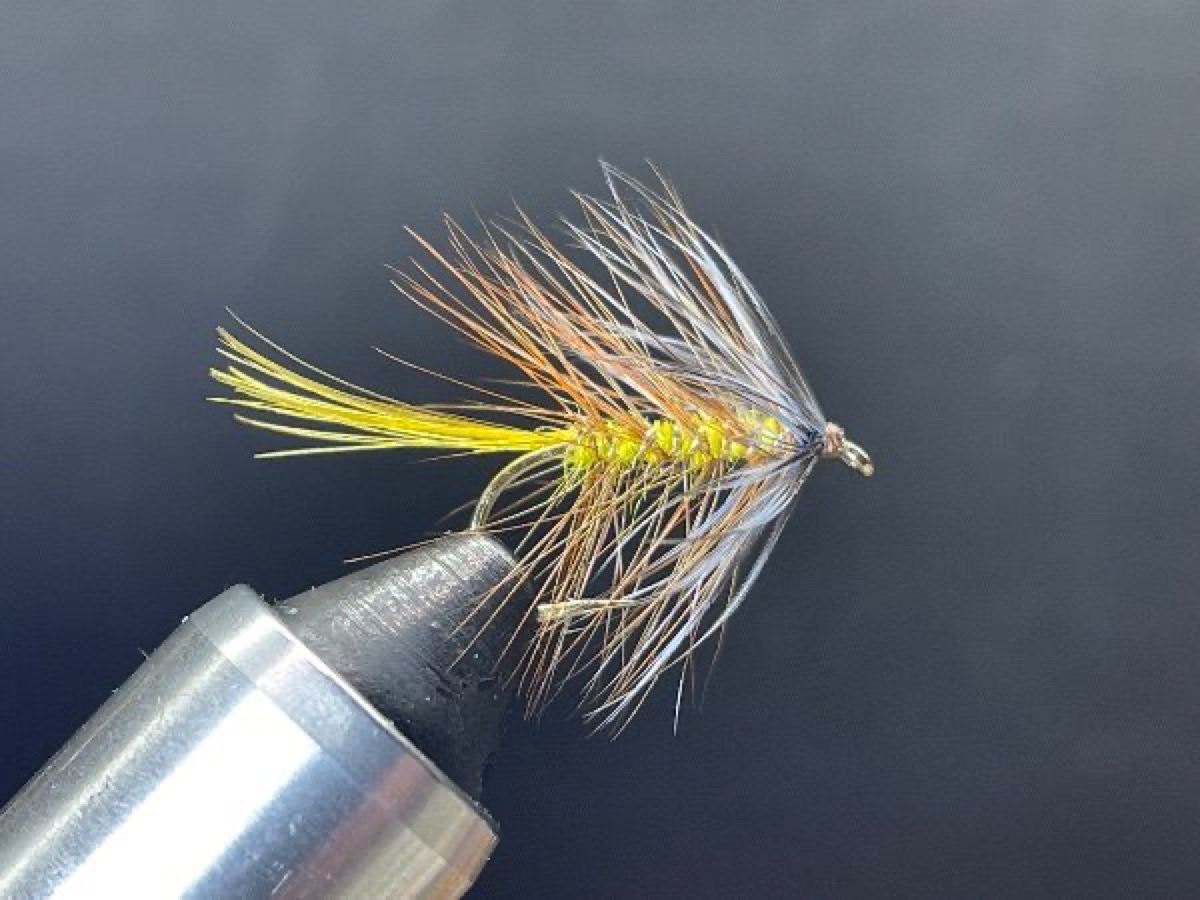 Yellow & Brown Bumble fly pattern tied by Brent Jones
