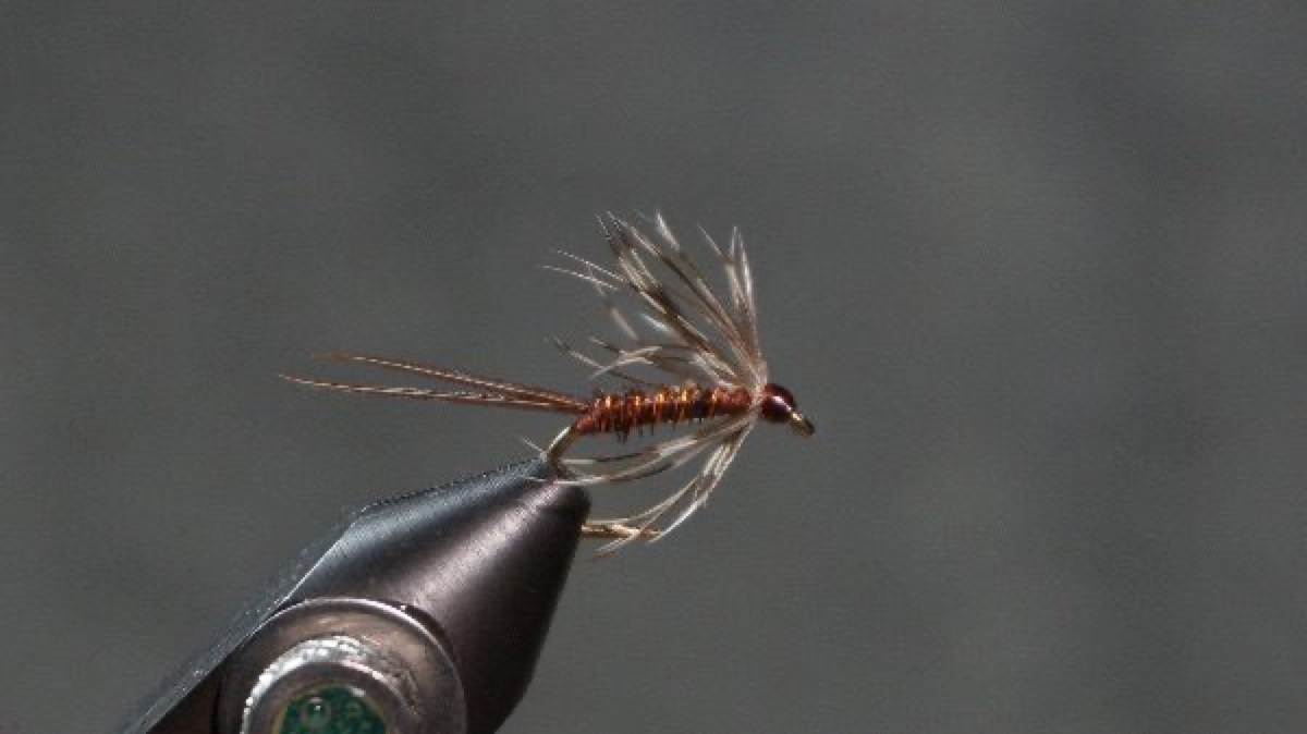 Pheasant Tail Sof Hackle fly pattern tied by Christian Andrews
