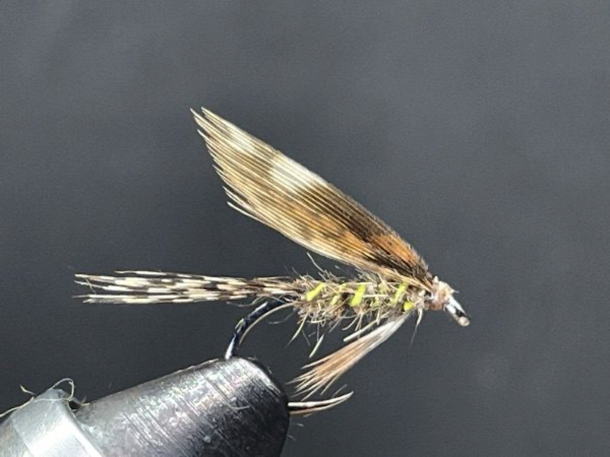 March Brown fly pattern tied by Brent Jones