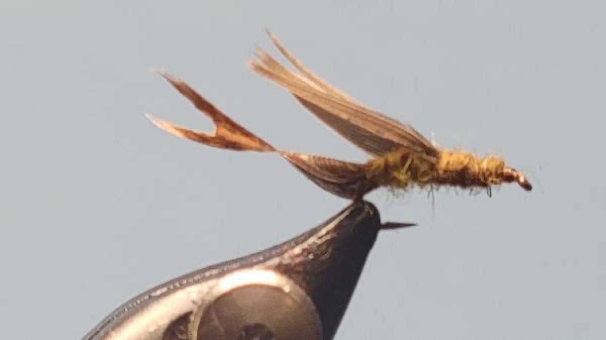 Slate/Olive Free-style Still Born fly pattern tied by Darrell Olson