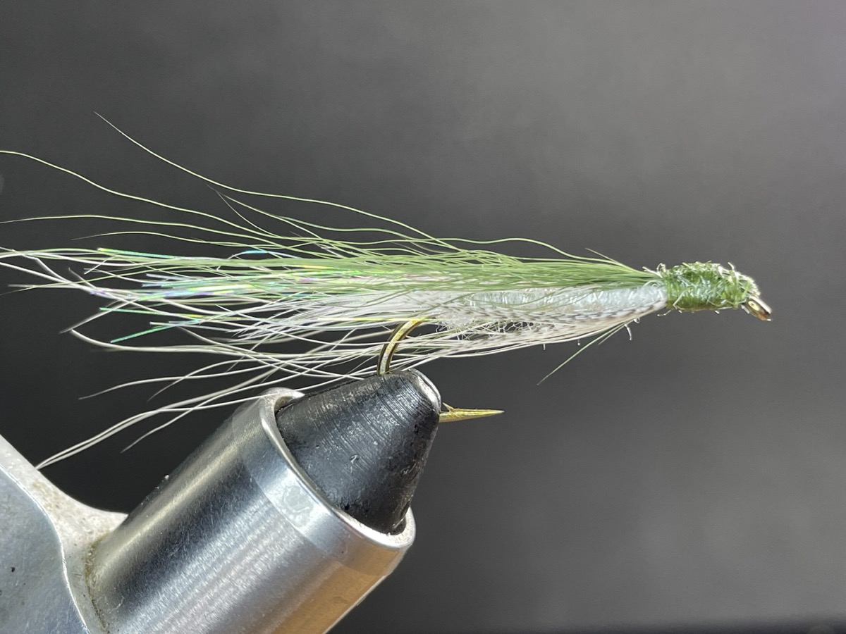 MV Emerald Shiner fly pattern tied by Jaselyn Jones