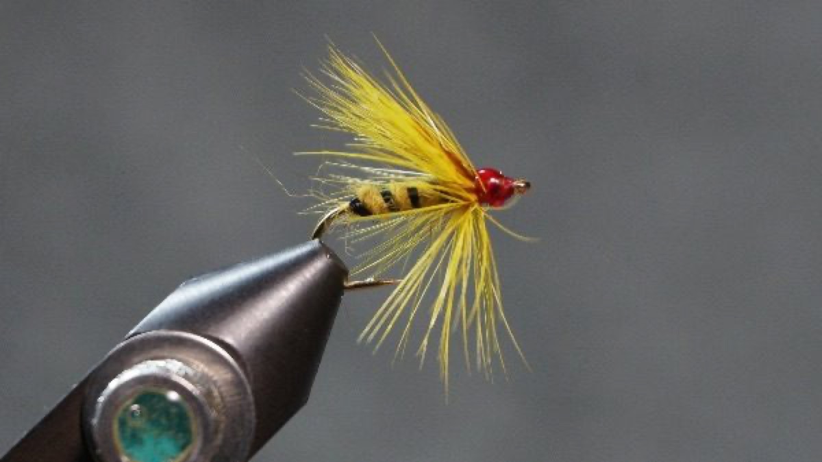 Yellow Hackle fly pattern tied by Christian Andrews