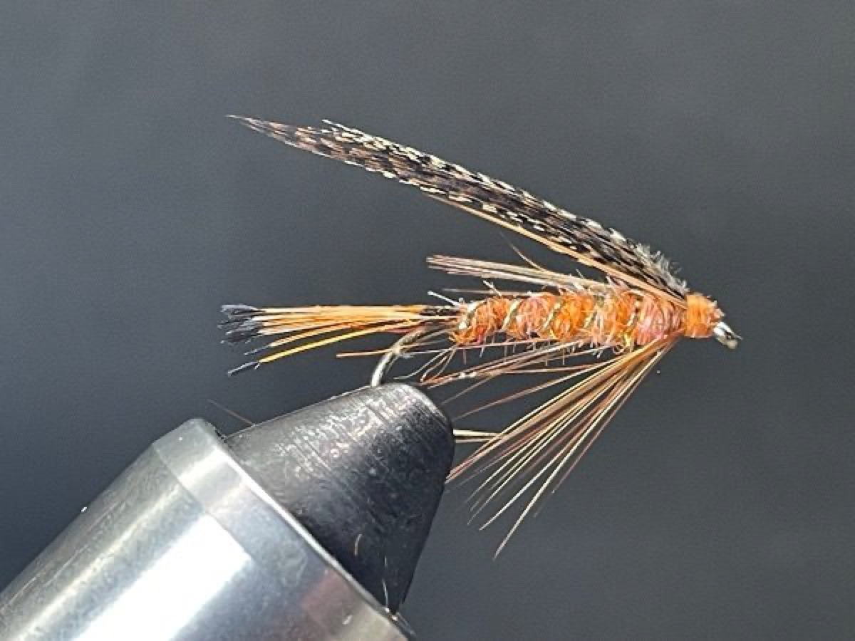 Fiery Brown (variant) fly pattern tied by Brent Jones