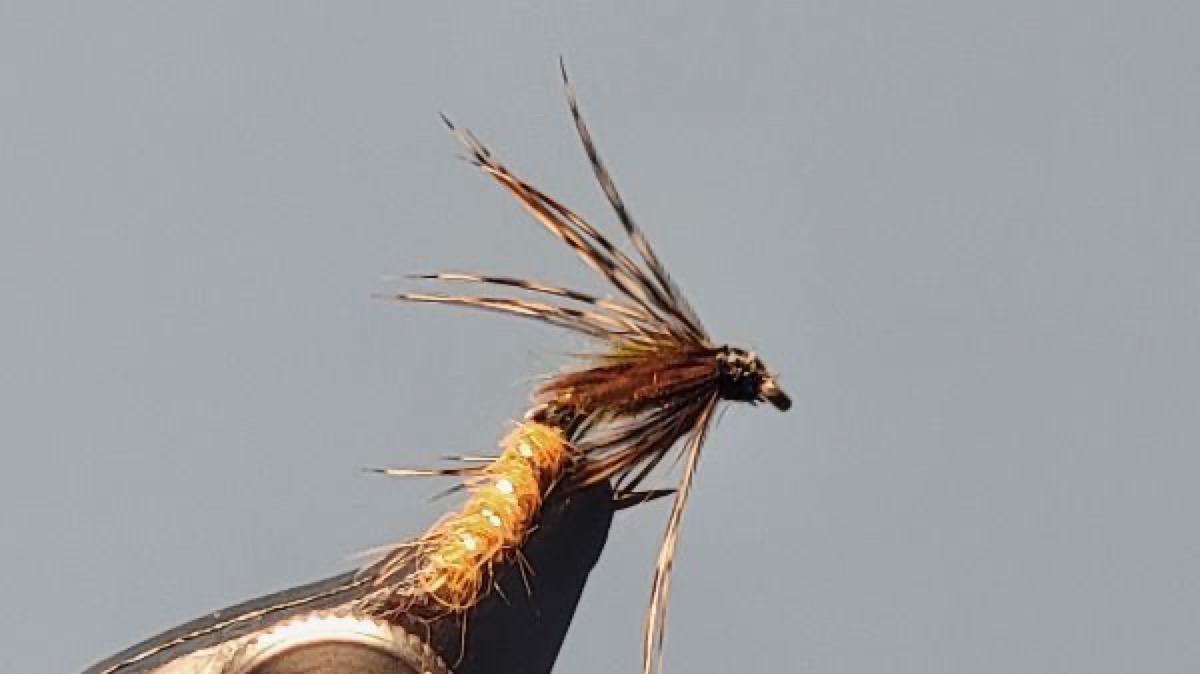 Wiggle Caddis Pupa fly pattern tied by Darrell Olson