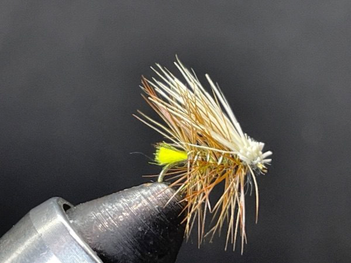 Yellow Hot Butt Caddis fly pattern tied by Brent Jones