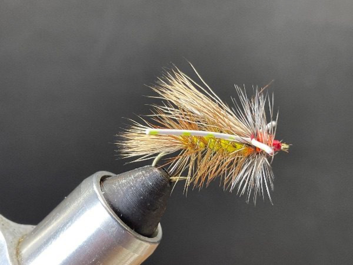 X-Stimulator fly pattern tied by Brent Jones