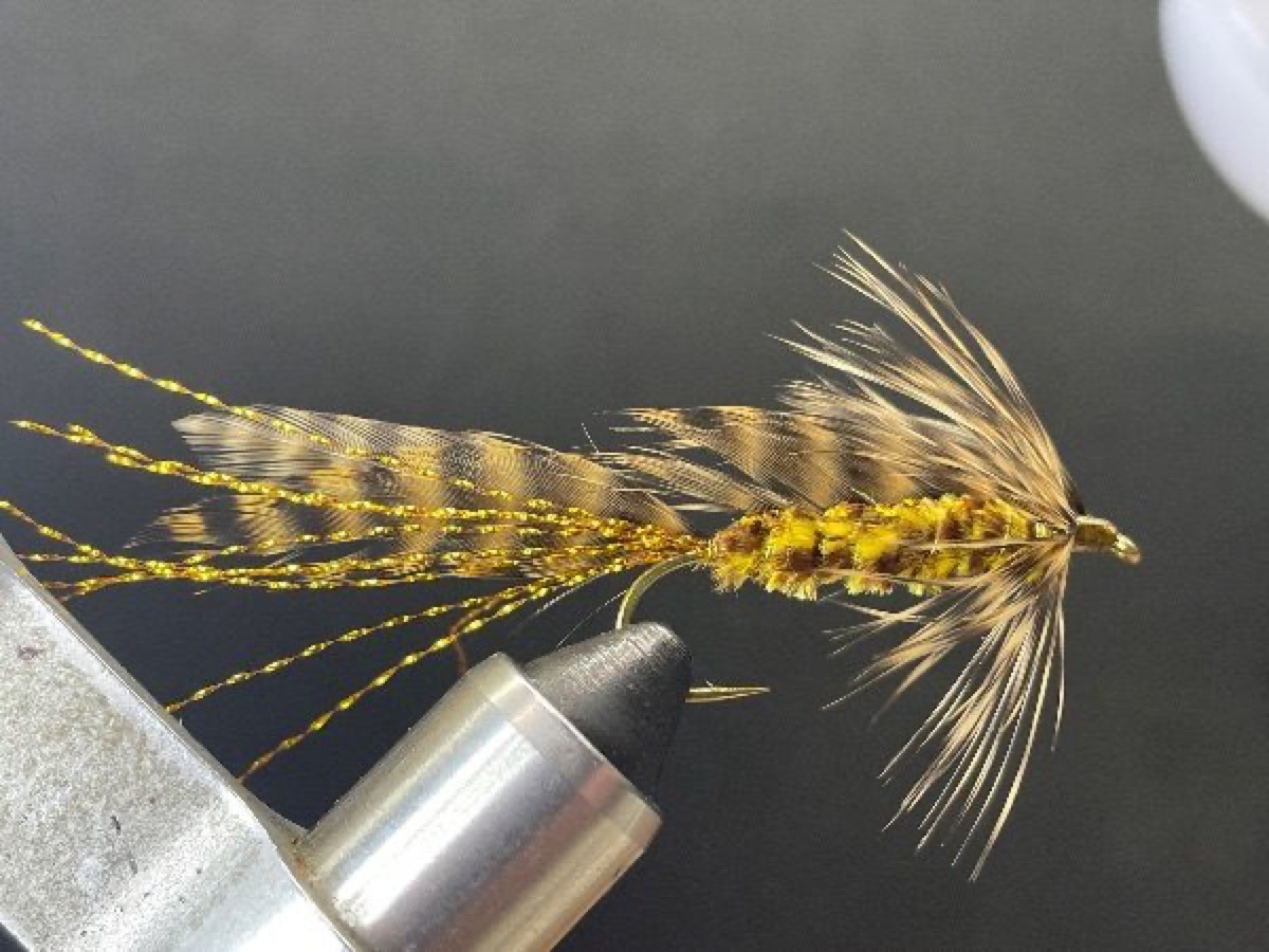 Brown Grizzly Matuka fly pattern tied by Brent Jones