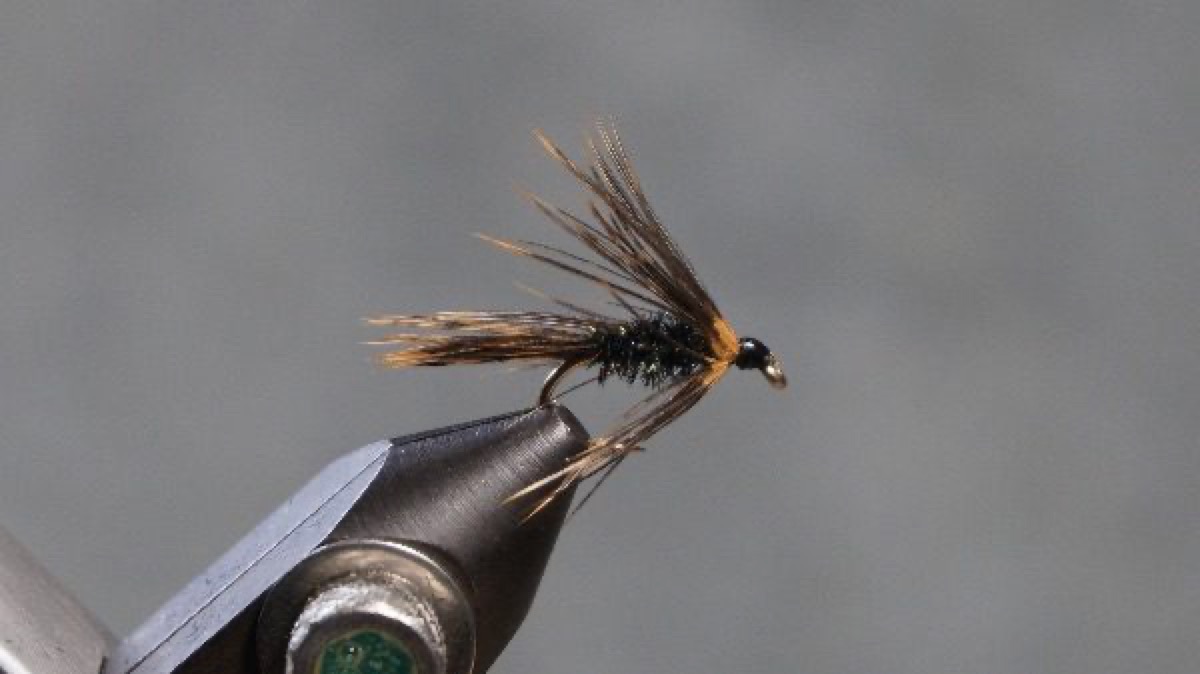 Simple Wet-fly Attractior fly pattern tied by Christian Andrews