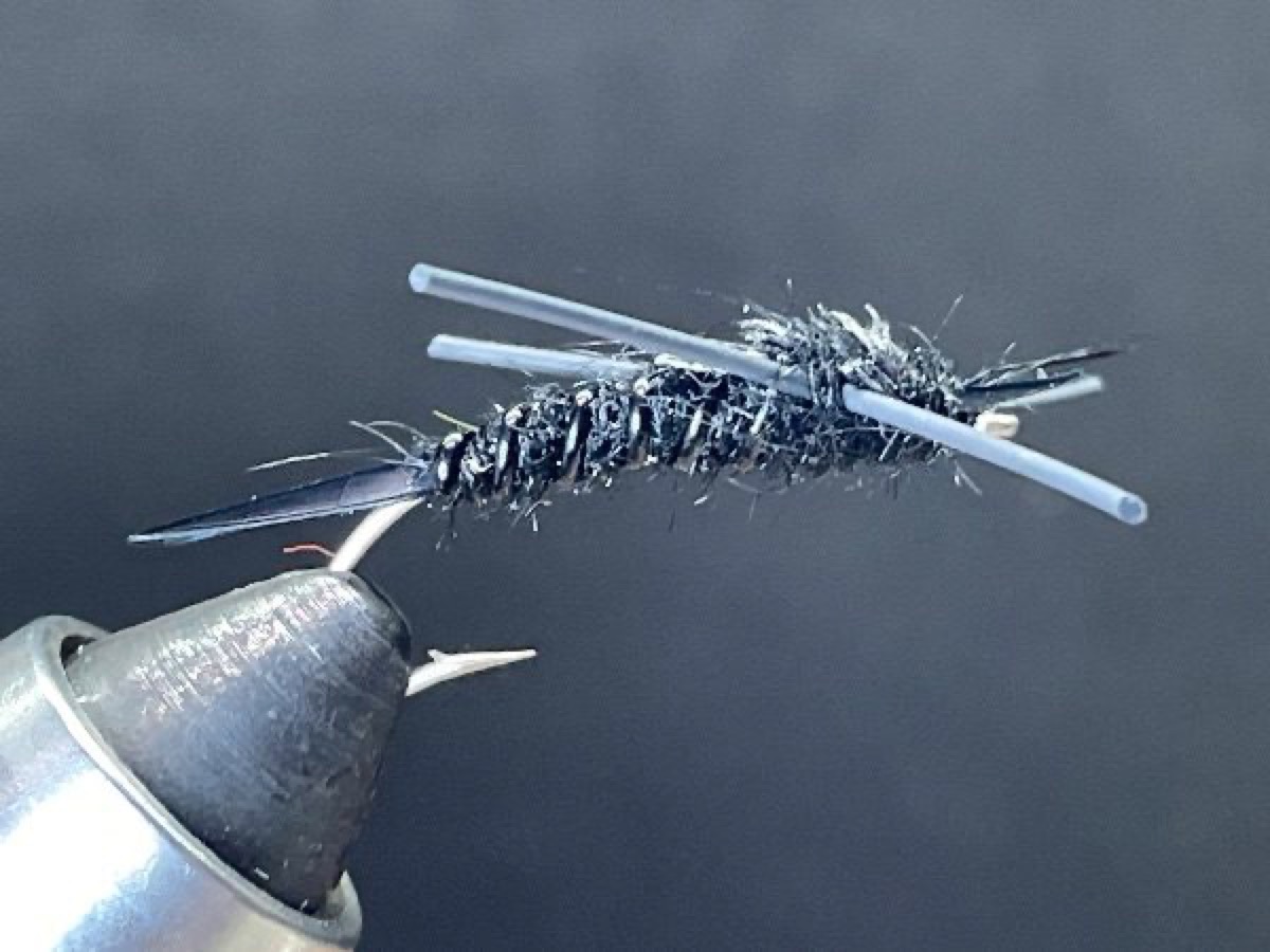 Giant Black Stonefly fly pattern tied by Brent Jones