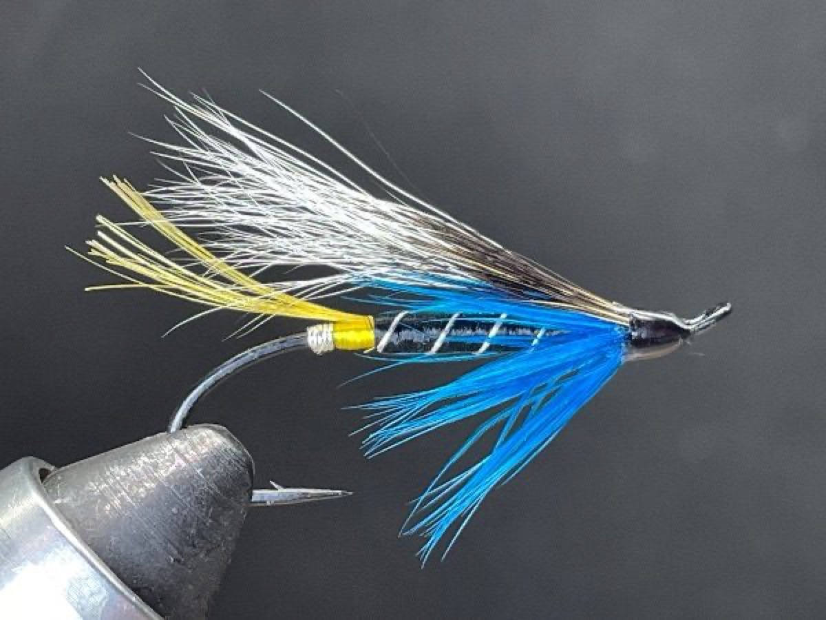 Blue Charm fly pattern tied by Brent Jones