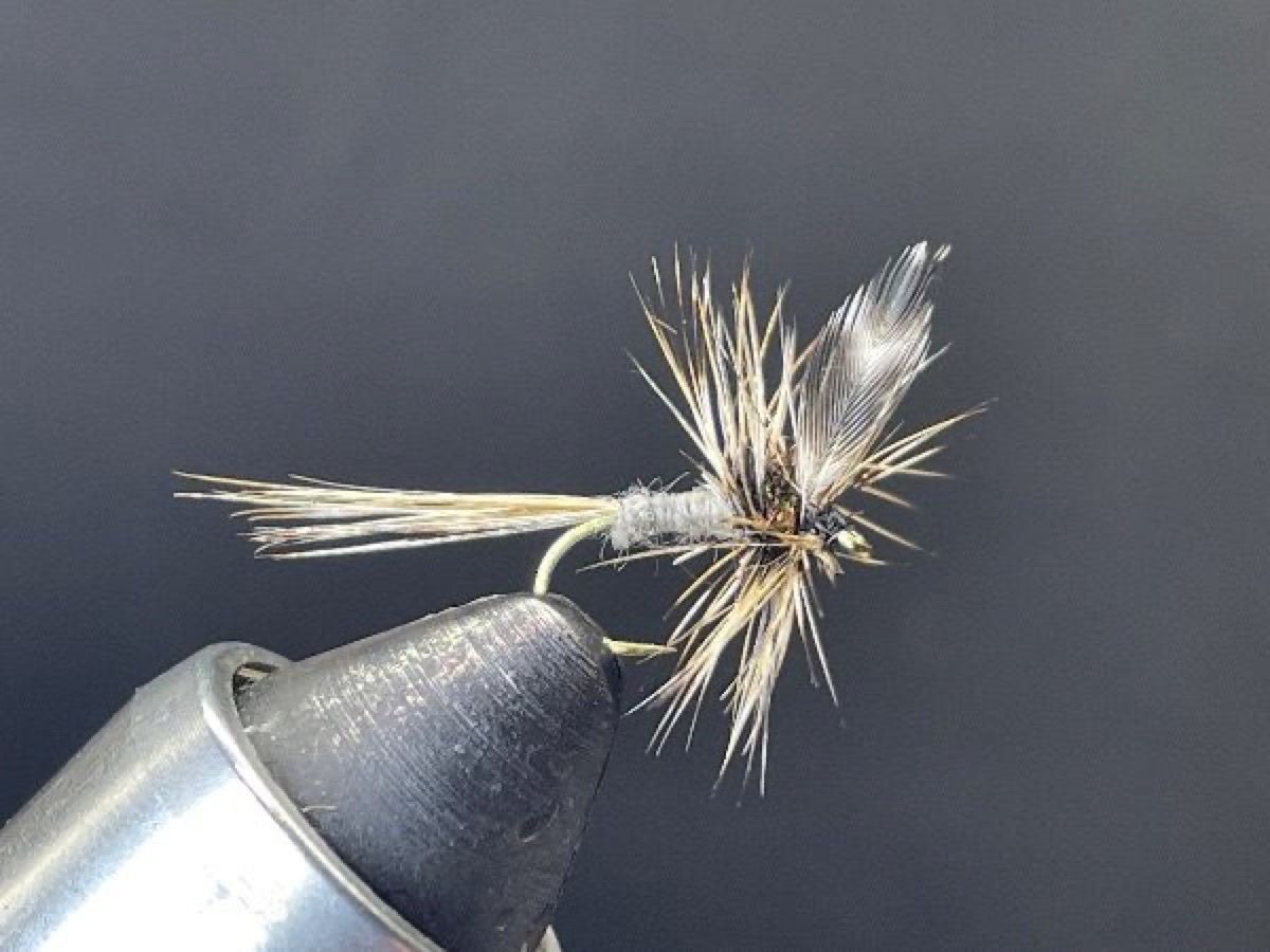 Adams (Forward Wing) fly pattern tied by Brent Jones
