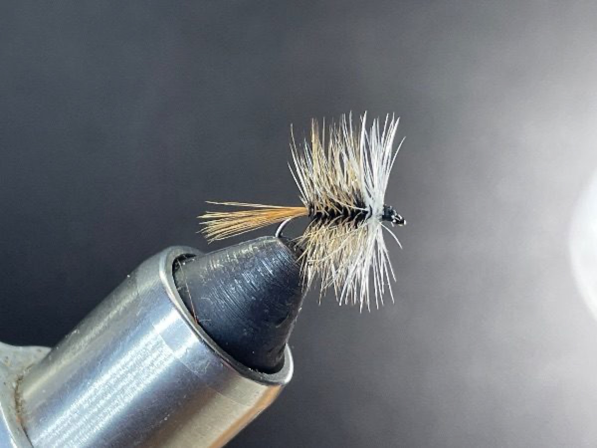 Bivisible, Brown fly pattern tied by Brent Jones
