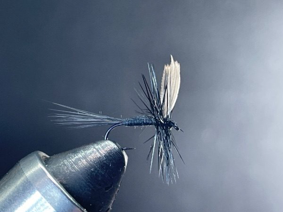 Black Gnat fly pattern tied by Brent Jones