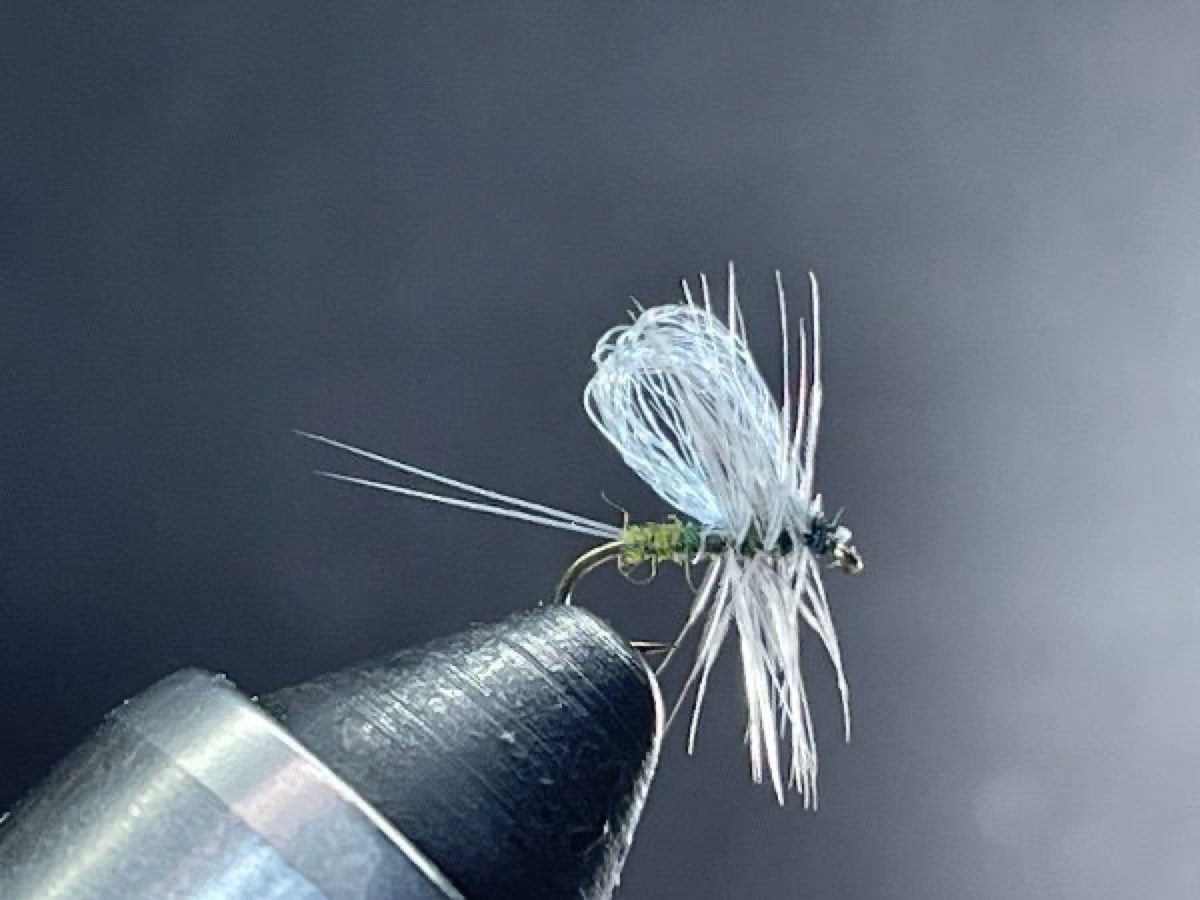 Blue Wing Olive (Loop Wing) fly pattern tied by Brent Jones