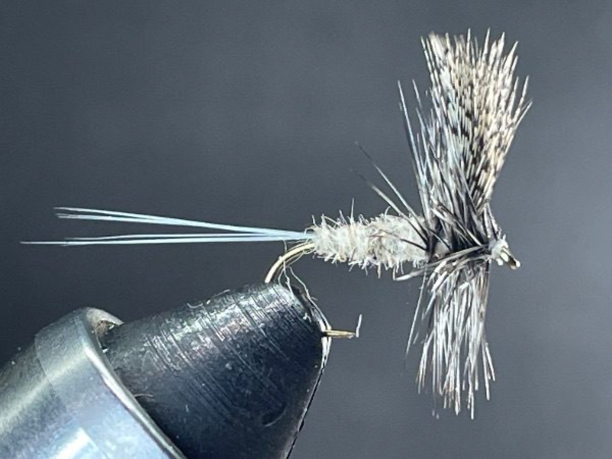 Callibaetis fly pattern tied by Brent Jones