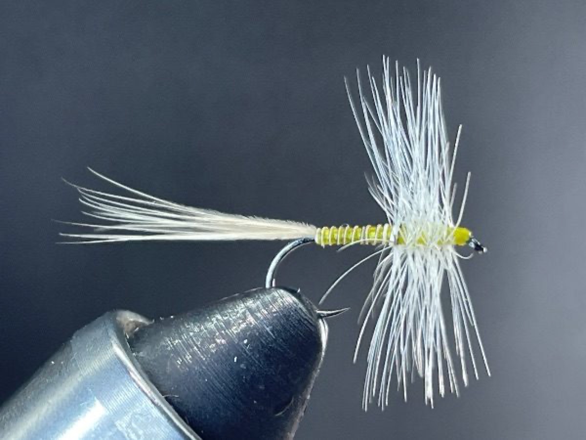 Cream (Variant) fly pattern tied by Brent Jones