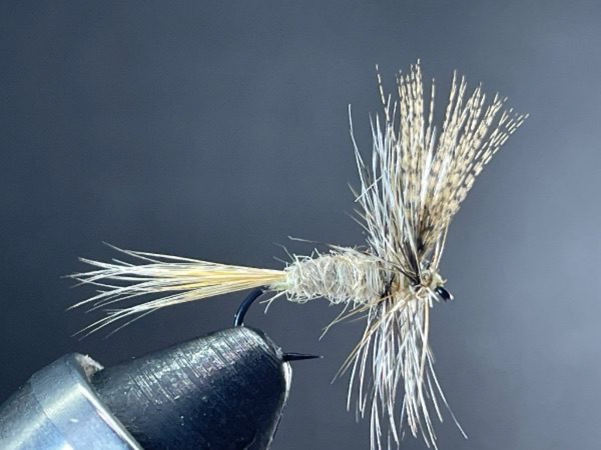 Gray Fox fly pattern tied by Brent Jones