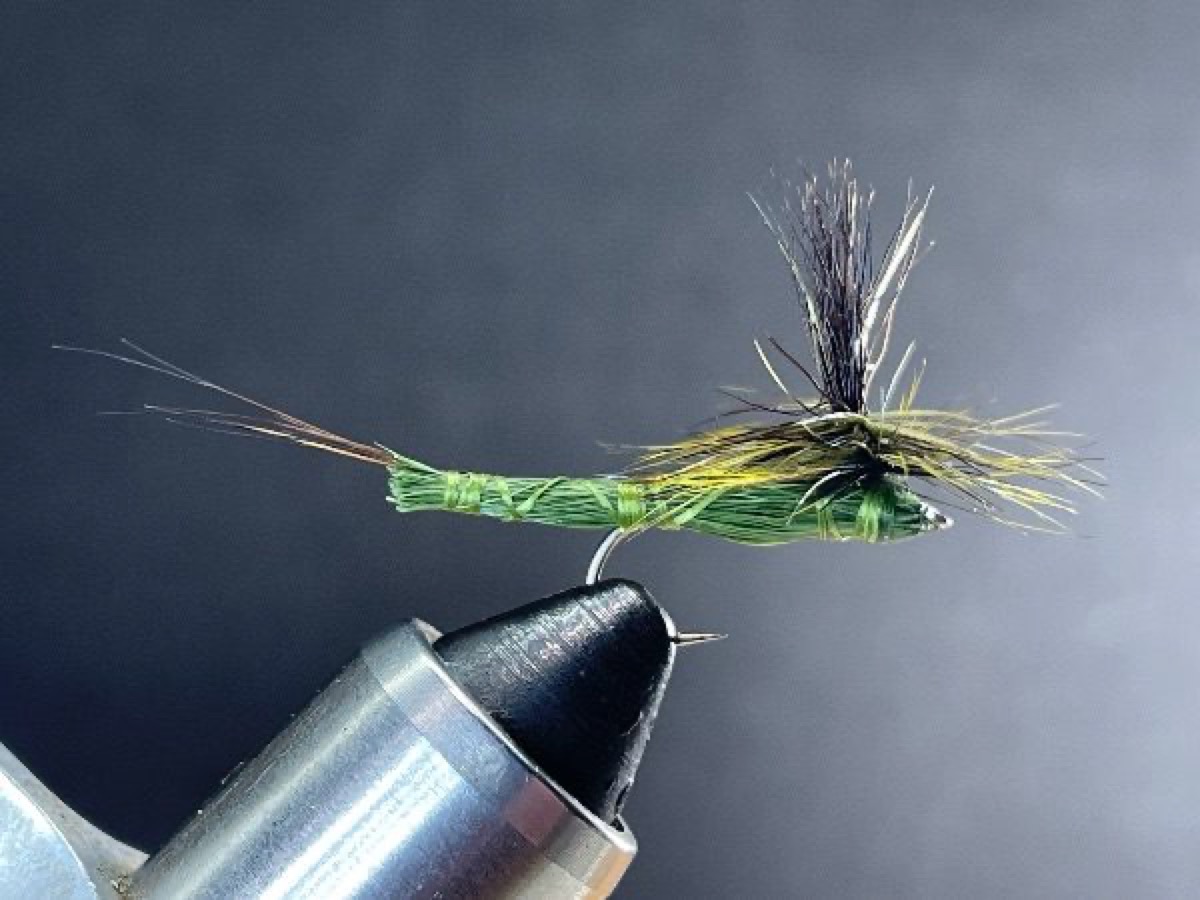 Green Drake (Extended Body) fly pattern tied by Brent Jones
