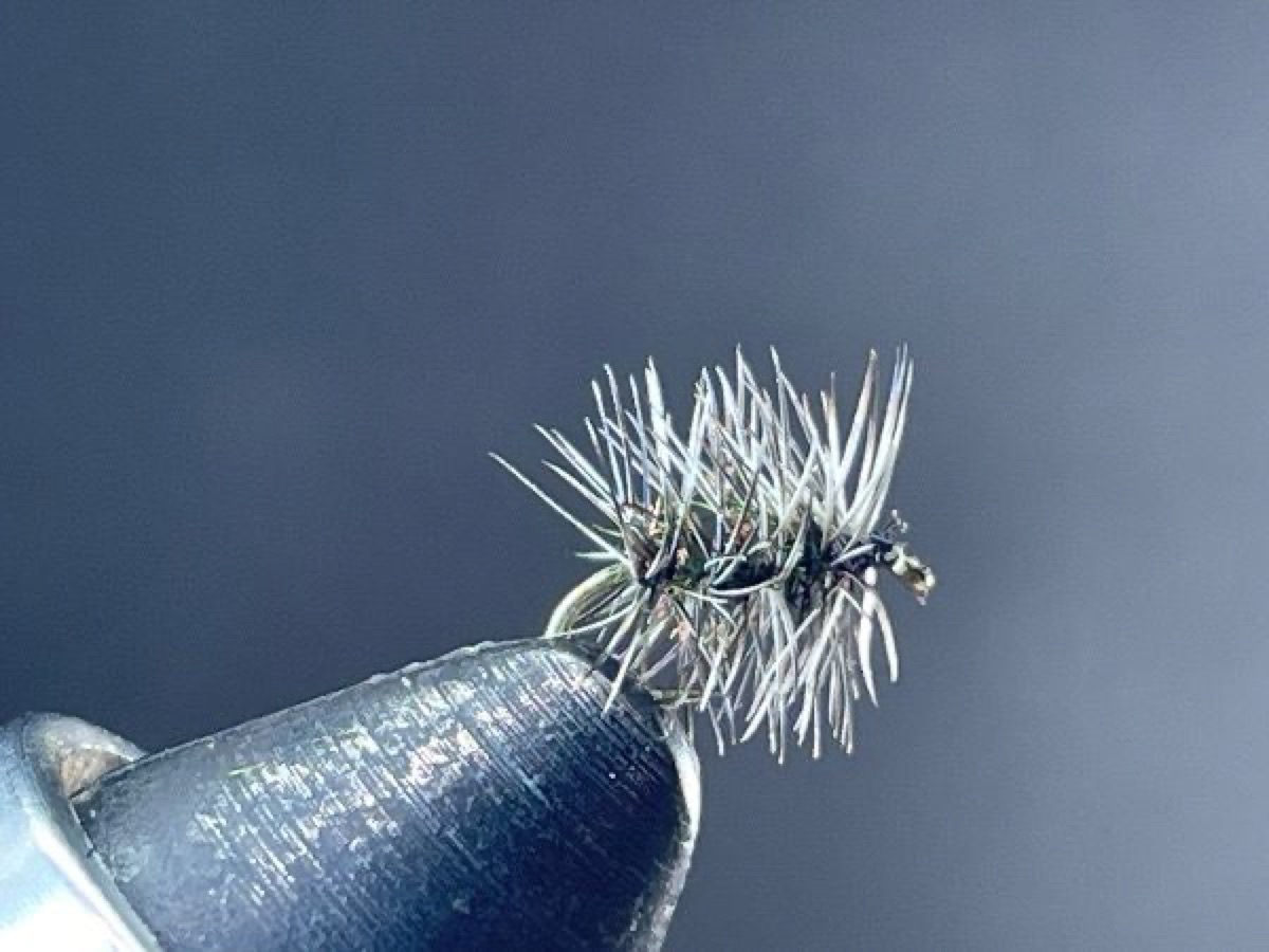 Griffith Gnat fly pattern tied by Brent Jones