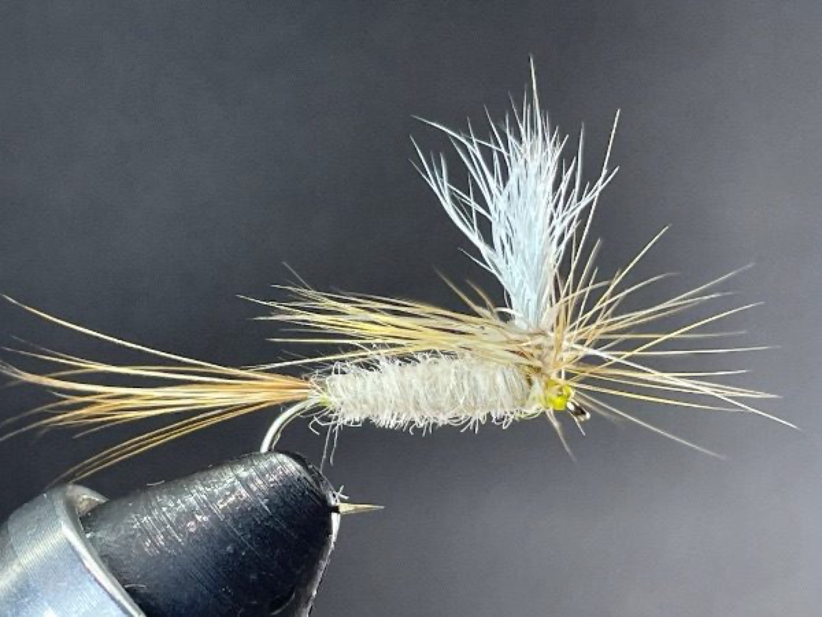 Light Cahill Parachute fly pattern tied by Brent Jones