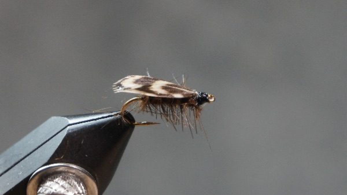 Jassid fly pattern tied by Christian Andrews