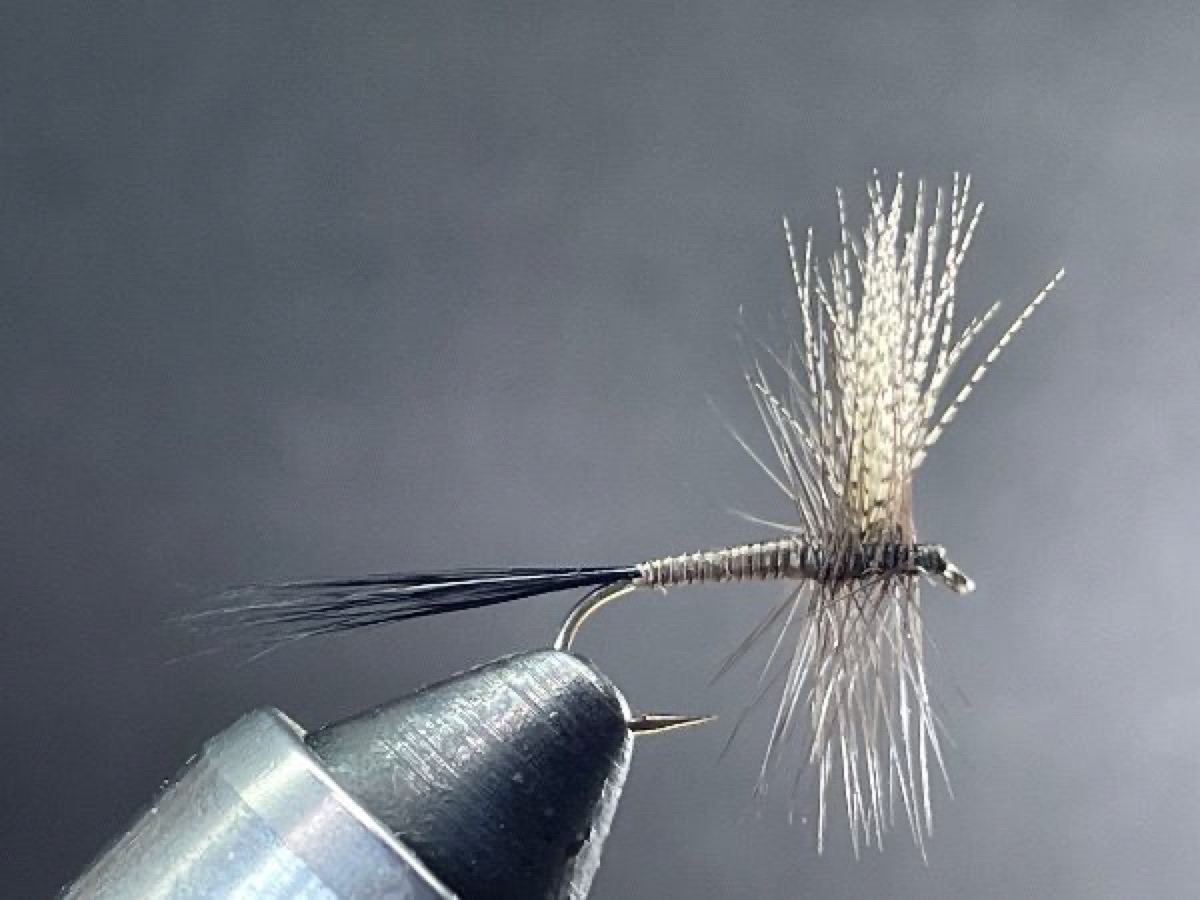 Quill Gordon fly pattern tied by Brent Jones