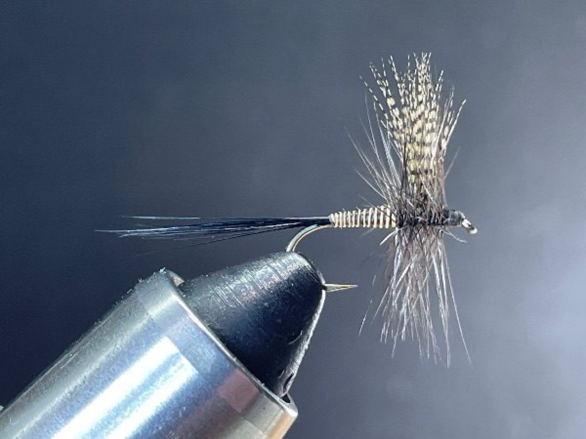 Red Quill fly pattern tied by Brent Jones