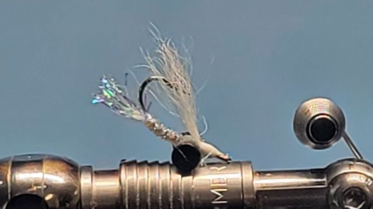The Shad Gotcha Fly fly pattern tied by Darrell Olson