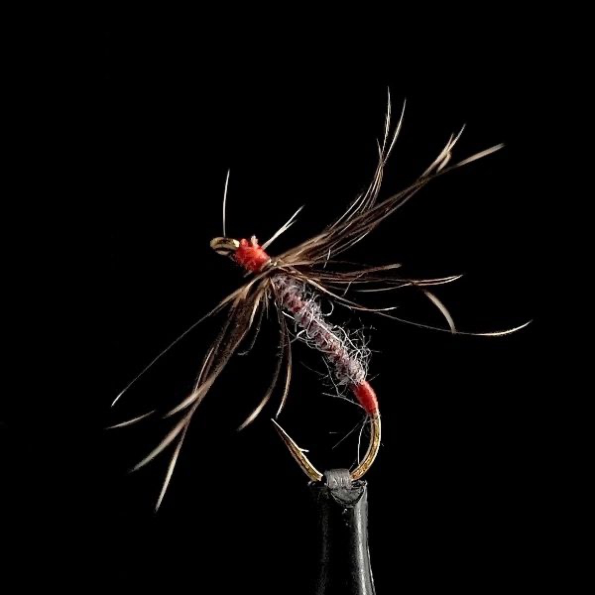 Cedar Crest Spider fly pattern tied by Joe Glessner