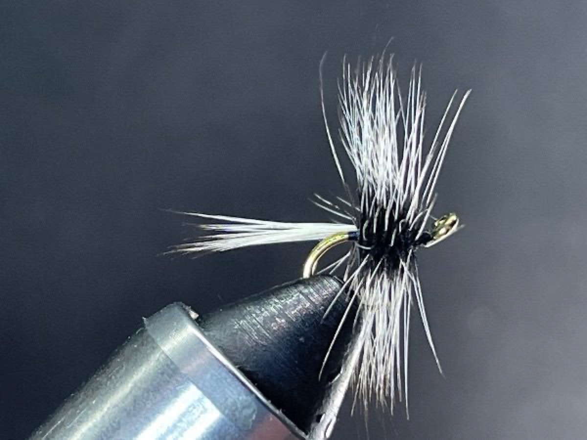 Silver Badger Spider fly pattern tied by Brent Jones