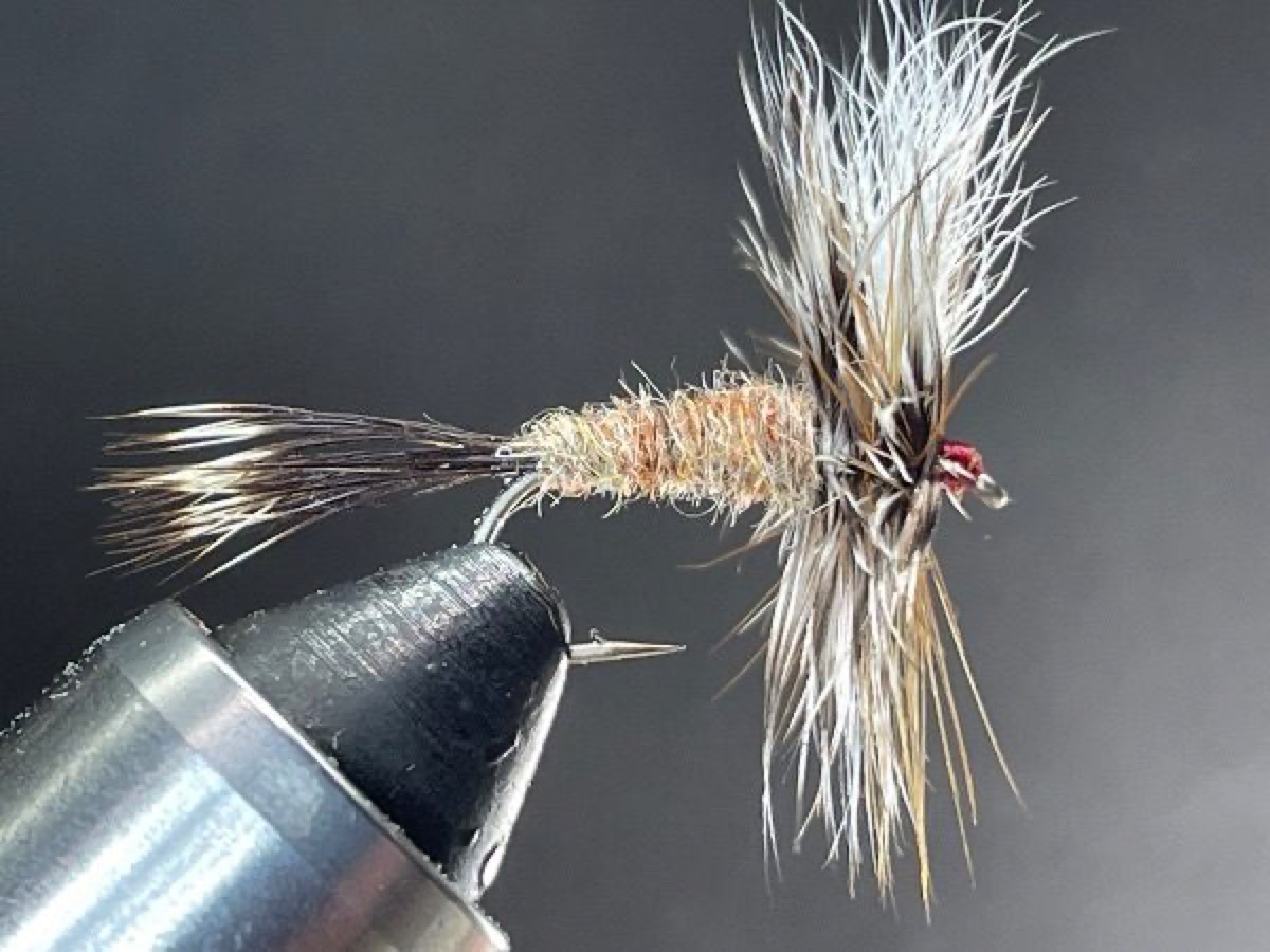 Ausable Wulff fly pattern tied by Brent Jones