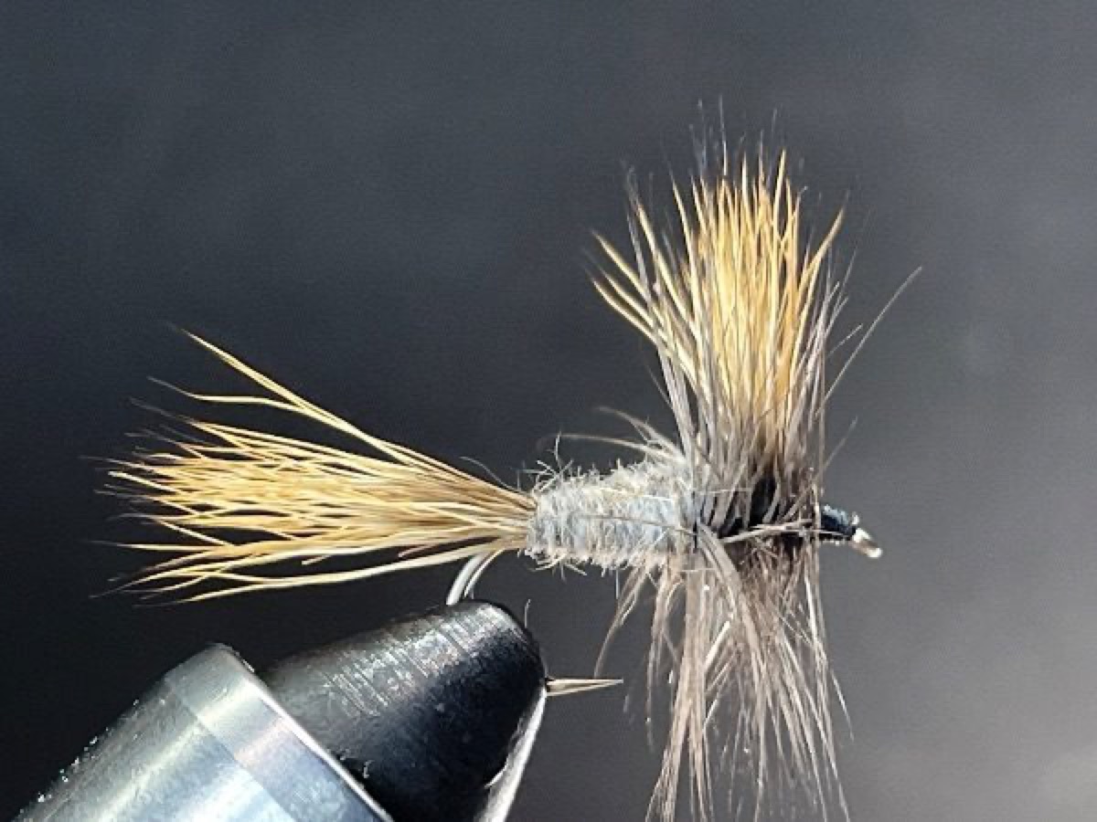 Gray Wulff fly pattern tied by Brent Jones