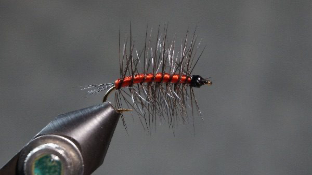 Bloody Butcher fly pattern tied by Christian Andrews