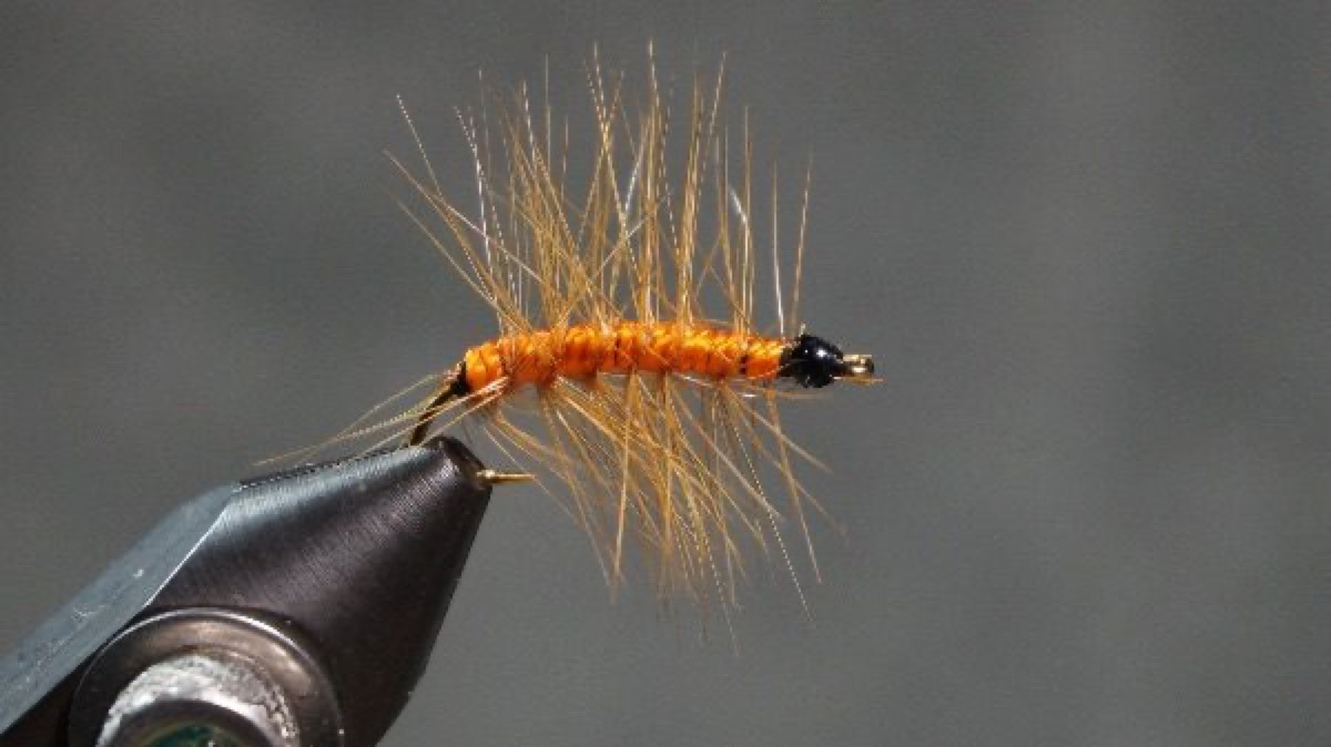 Orange Asher fly pattern tied by Christian Andrews