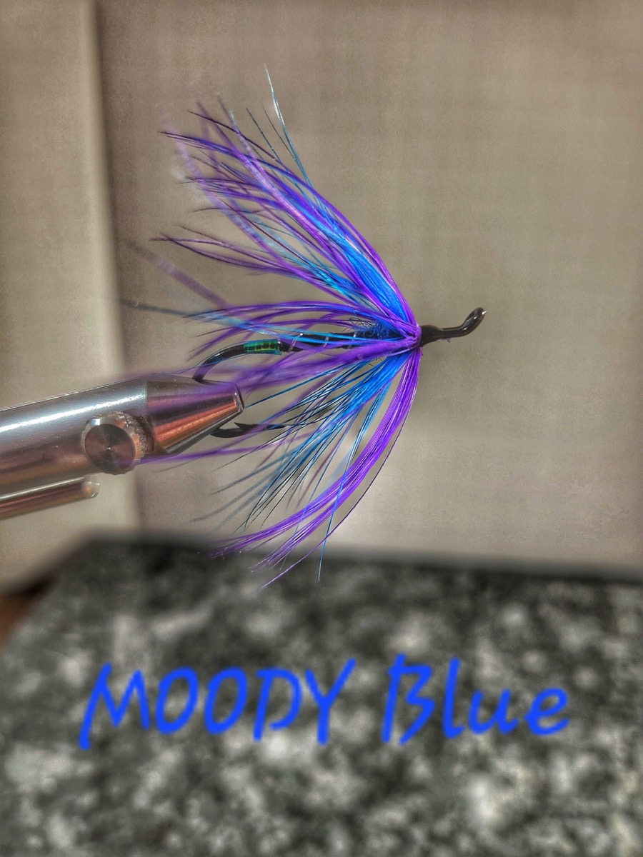 Moody Blue fly pattern tied by Will Arrant
