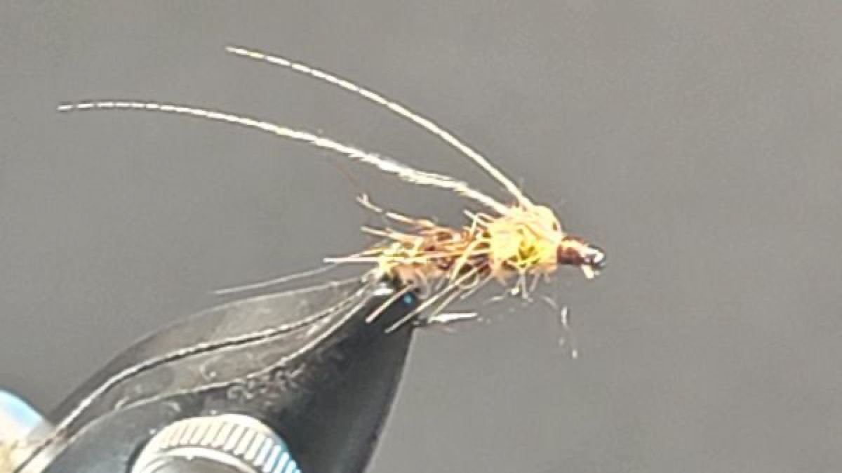 Cinnamon Caddis Pupa fly pattern tied by Darrell Olson