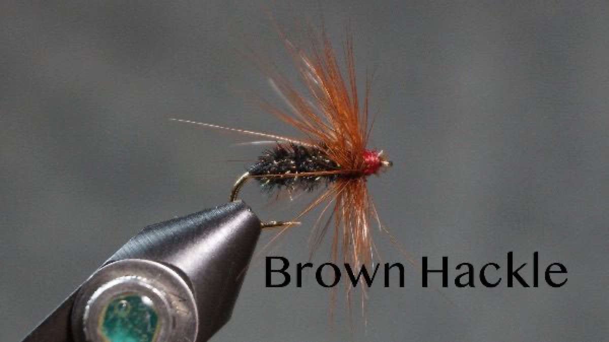 Brown Hackle fly pattern tied by Christian Andrews