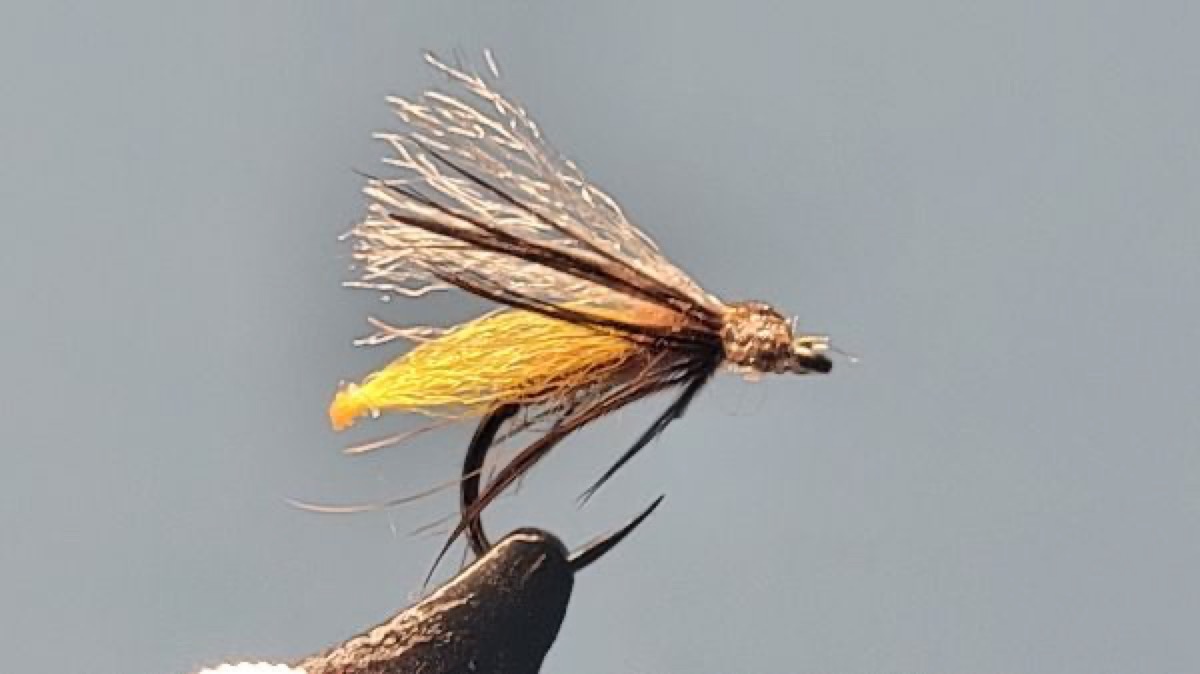 Cinnamon Caddis Teardrop Emerger fly pattern tied by Darrell Olson