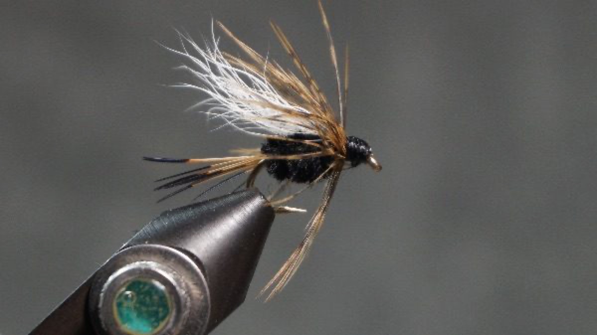Wet-Fly Attractor (Rio Grande King) fly pattern tied by Christian Andrews