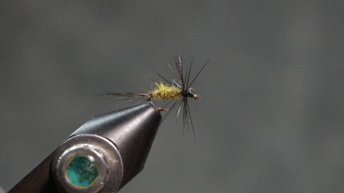 Blue-Winged Olive Dry Fly fly pattern tied by Christian Andrews
