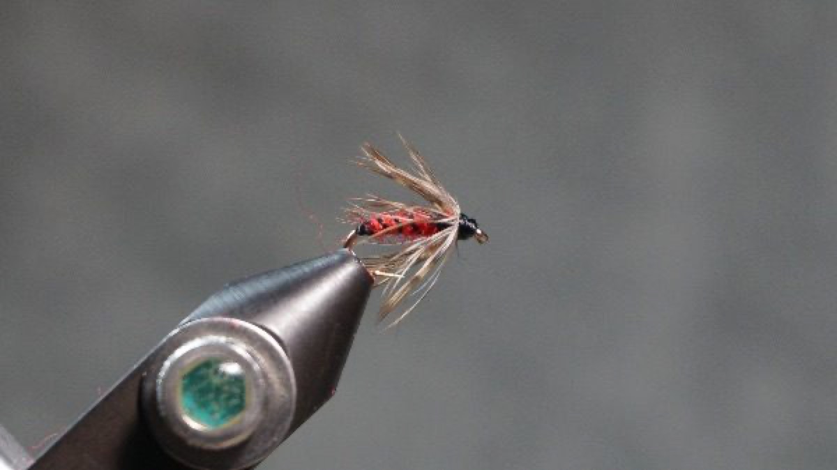 Grouse Hackle fly pattern tied by Christian Andrews