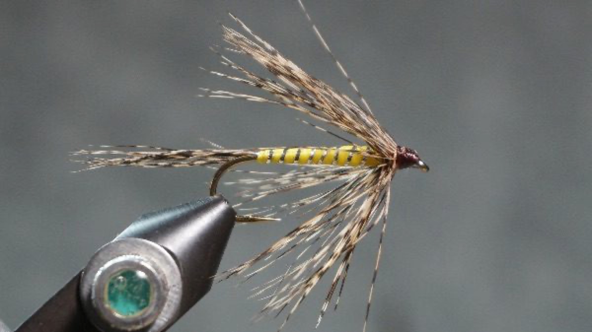Salmon-Fly Type Wet-Fly Attractor fly pattern tied by Christian Andrews
